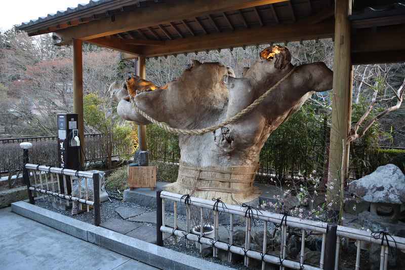 塩原温泉 割烹旅館 湯の花荘のクチコミ情報が満載！【フォートラベル】|塩原温泉郷