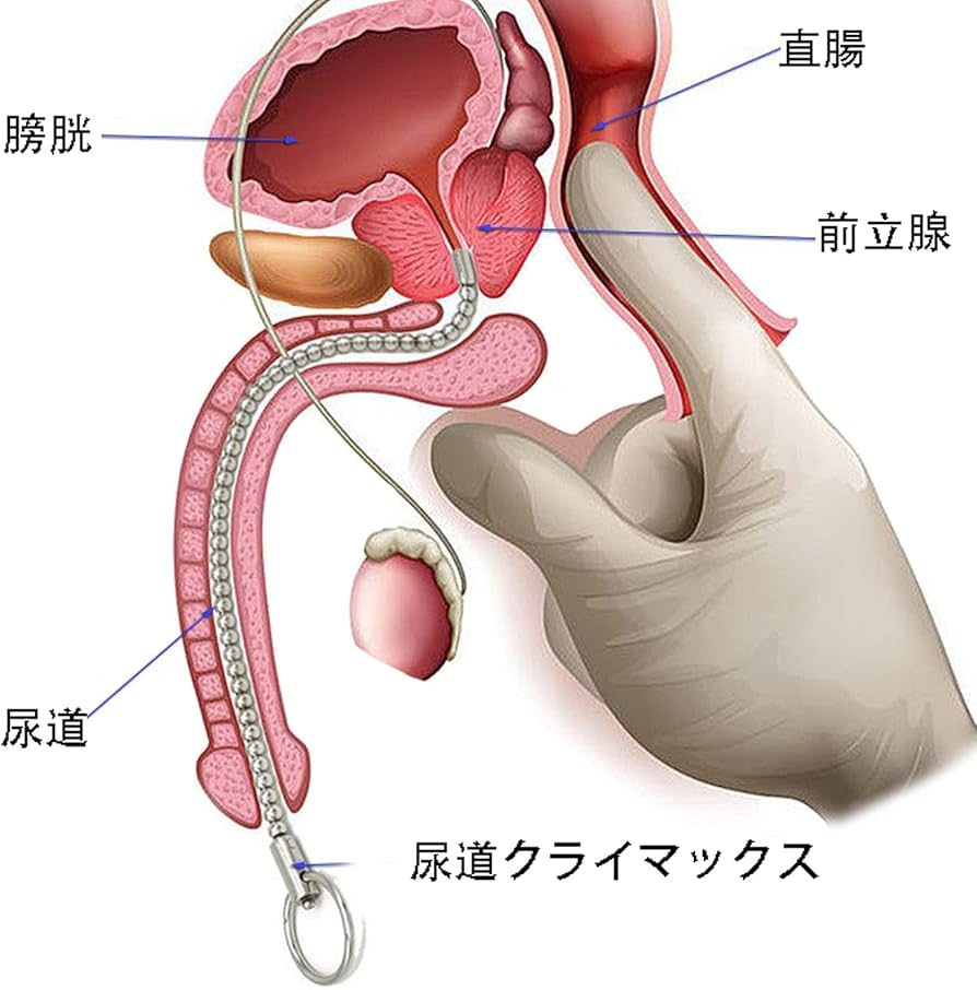 男の娘が無理矢理尿道責めで全力メスイキするとこが見たい！(Bの食卓) - FANZA同人