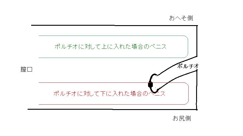 ポルチオとは？ 開発するとセックスが気持ちいい？ | 医師監修 ｜