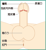 電マを使った前立腺オナニーのやり方！最強のドライオーガズムで昇天