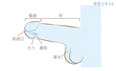 リラクゼーションメンズエステ 602 横浜の口コミ体験談、評判はどう？｜メンエス