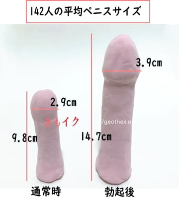 男性器の大きさは女性にとって重要なのかというアンケート結果をまとめた図 - GIGAZINE