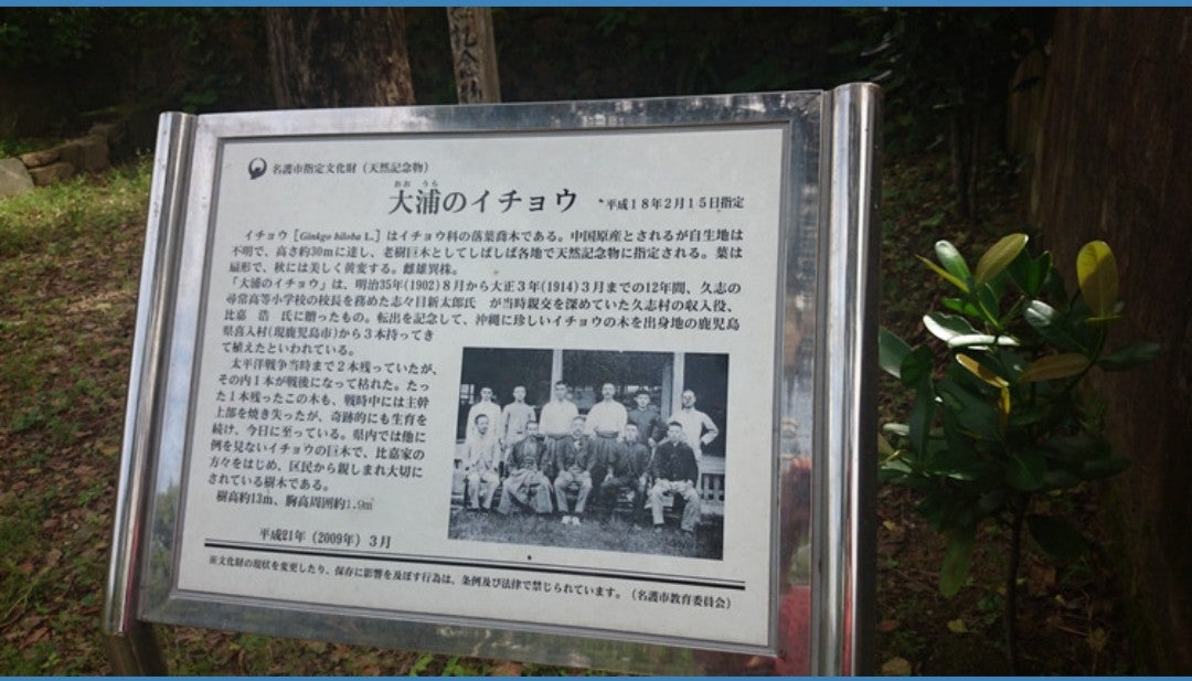 沖縄最強の霊的スポット】恐すぎたので「ユタの修行場」の入口で引き返してきた : 東京別視点ガイド