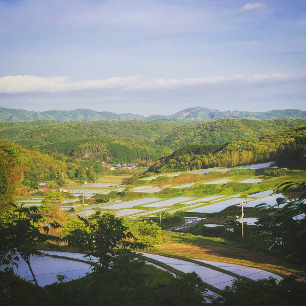 渋谷・東「改良湯」で「五感リラックス」企画 ドリンク「チルアウト」と組み花びら湯など - シブヤ経済新聞