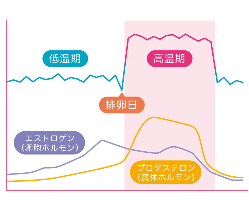 寝付けない」「夜中に目が覚める」など、気になる不眠の背景には夜間頻尿、睡眠時無呼吸（いびき）があるかもしれません |  公益社団法人女性の健康とメノポーズ協会