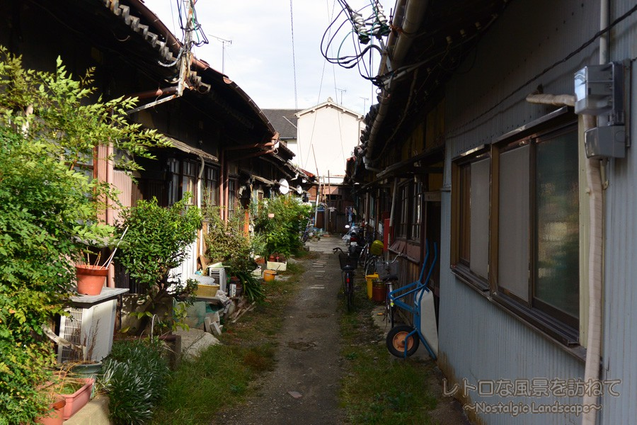 6時間で最高23人。和歌山でトップの店だったから月100万以上」古株女性が打ち明けた“コロナと色街” | 文春オンライン