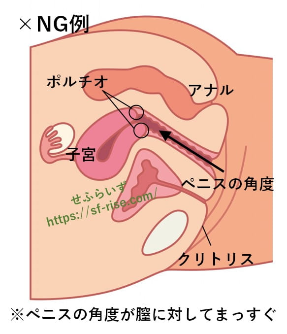 バックセックス(後背位)の気持ちいいやり方はコレ！挿入・腰の振り方のコツ│熟女動画を見るならソクヨム