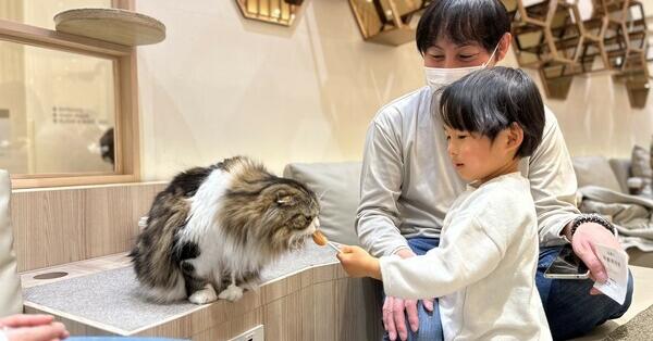 平塚市総合公園で動物とふれあおう！