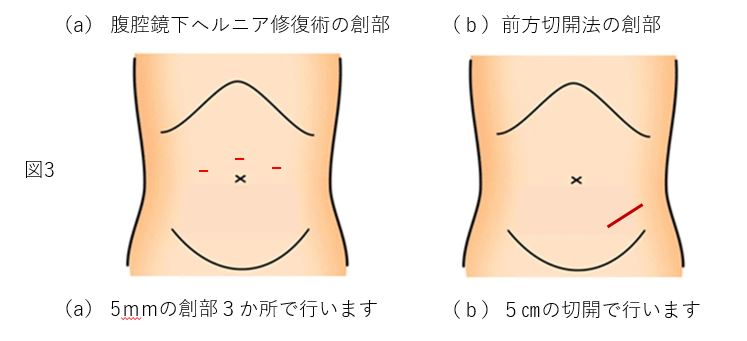 小牧市(愛知県) 日曜または休日/祝日に診療可能な病院・クリニック 10件