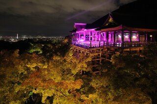 京都・随心院のピンクの襖絵がSNSで話題！ | 京都府 | トラベルjp