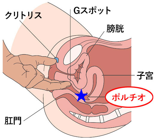 職場の男フルコンプ】 性欲半端ない歯科衛生士若妻ちゃん 鬼反りデカマラで理性崩壊乳首ビンビンポルチオ連打アヘアヘ孕ませ子宮ぶっかけ中出し」：エロ動画・アダルトビデオ  -MGS動画＜プレステージ