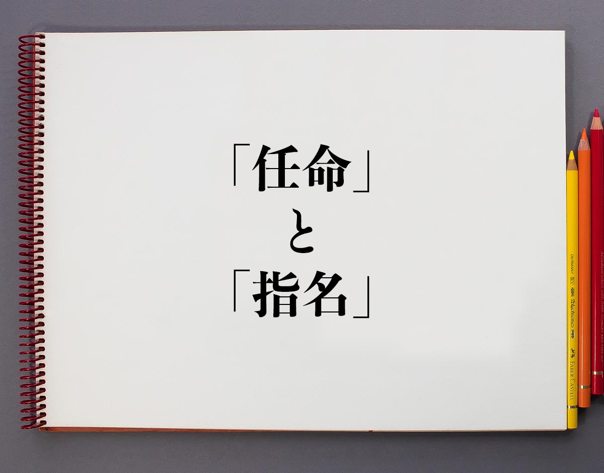 キャバクラの指名制度について！【本指名と場内指名の違いって？】