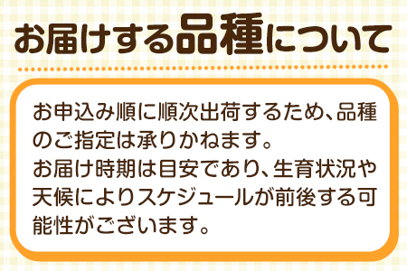 太、沖縄県勢初の２冠 春高ボウリング大会 - 琉球新報デジタル