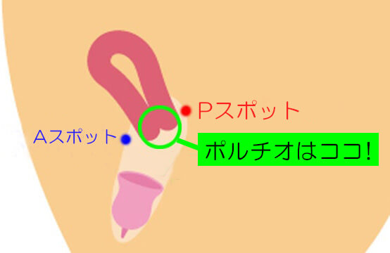 ポルチオセックスは快感がすごい？ お腹を押す時の注意点は？膣の奥で気持ちよくなるための方法を解説 | オトナのハウコレ