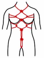 意外と簡単にできる亀甲縛りの結び方 – icoro