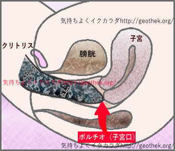 防水性抜群の小型電マ・ZEMALIA RITAならポルチオ子宮口せめで潮吹きさせる使用感・口コミ : エロ漫画無料アダルト裏モノJAPAN