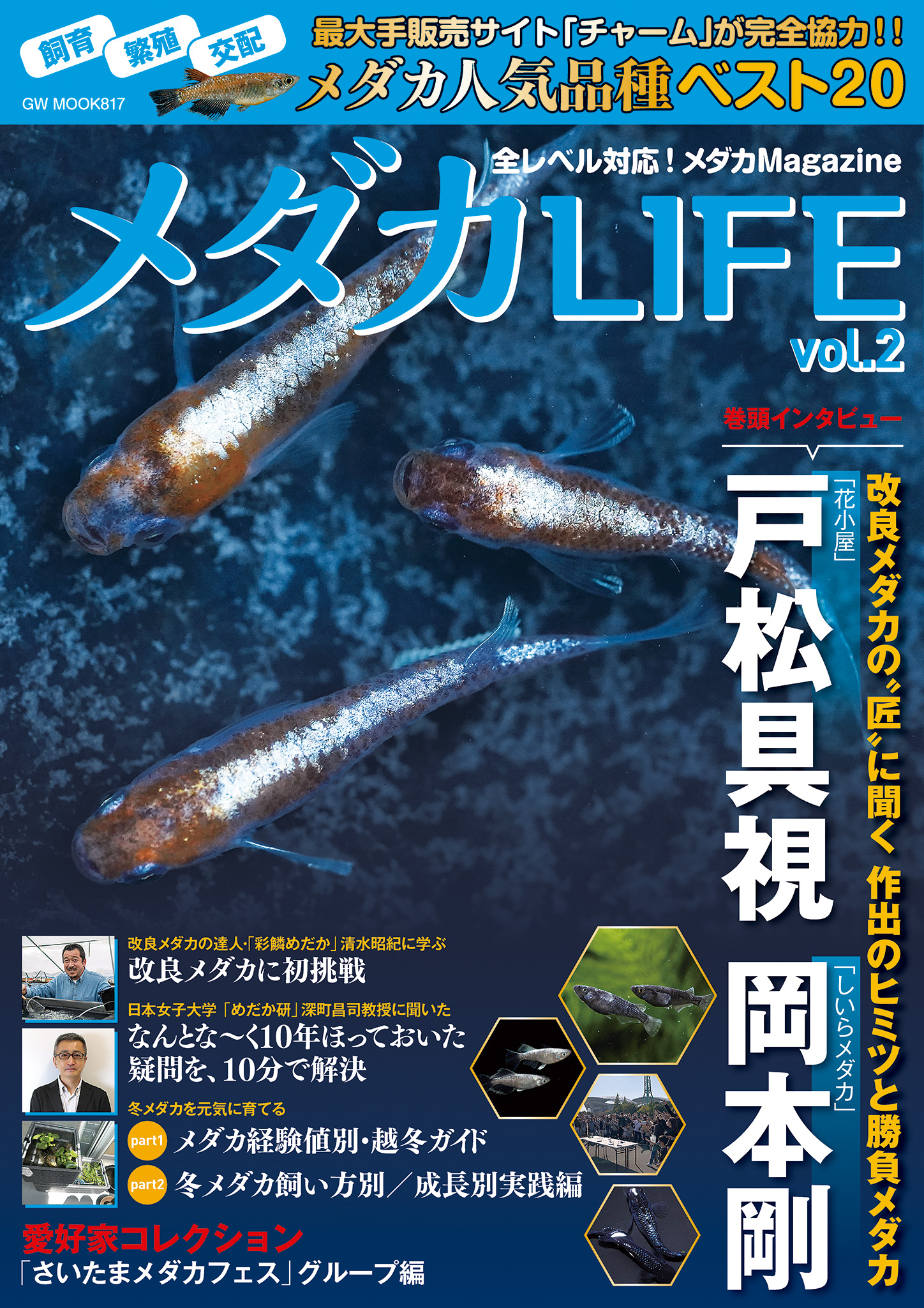 ≪産地直送≫【ふるさと納税】すみっコぐらしTMていねいな仕事のあじふらい(計20尾/シール付) すみっコぐらし コラボ 国産 地魚