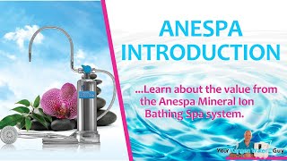 Enagic ANESPA-DX Mineral ion