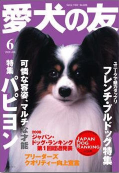 ホライズンのオススメ！ №027】我が家の犬と猫｜ホライズンパートナーズ法律事務所