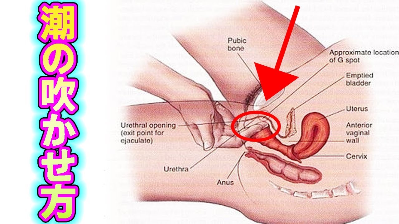 手マンで潮吹きさせるやり方とコツとは？女性が気持ち良くなるテクニックを伝授【男性向け】 | オトナのハウコレ