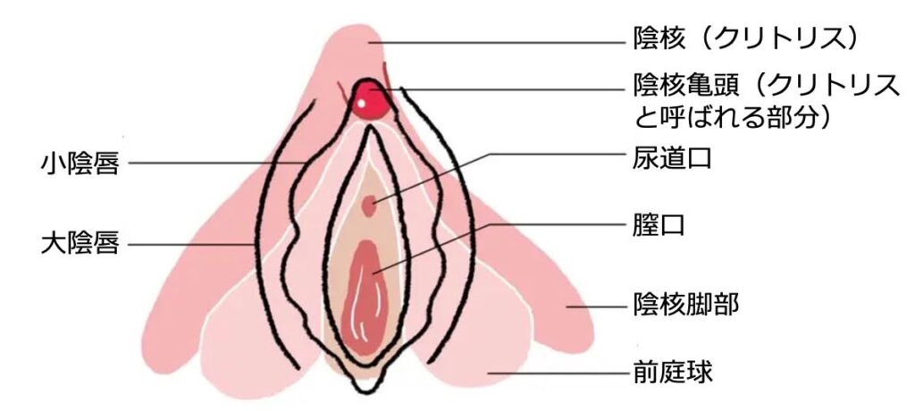 角オナは危険？ 正しいやり方とアイテムを使うおすすめの方法を紹介 ｜ iro