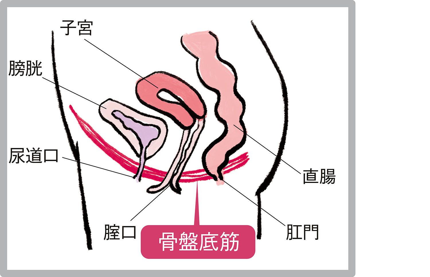 ゆるみチェック】膣の締まりが悪くなる原因と自分で確認する方法 | 東京 渋谷 広尾の美容外科なら「みどり美容クリニック」