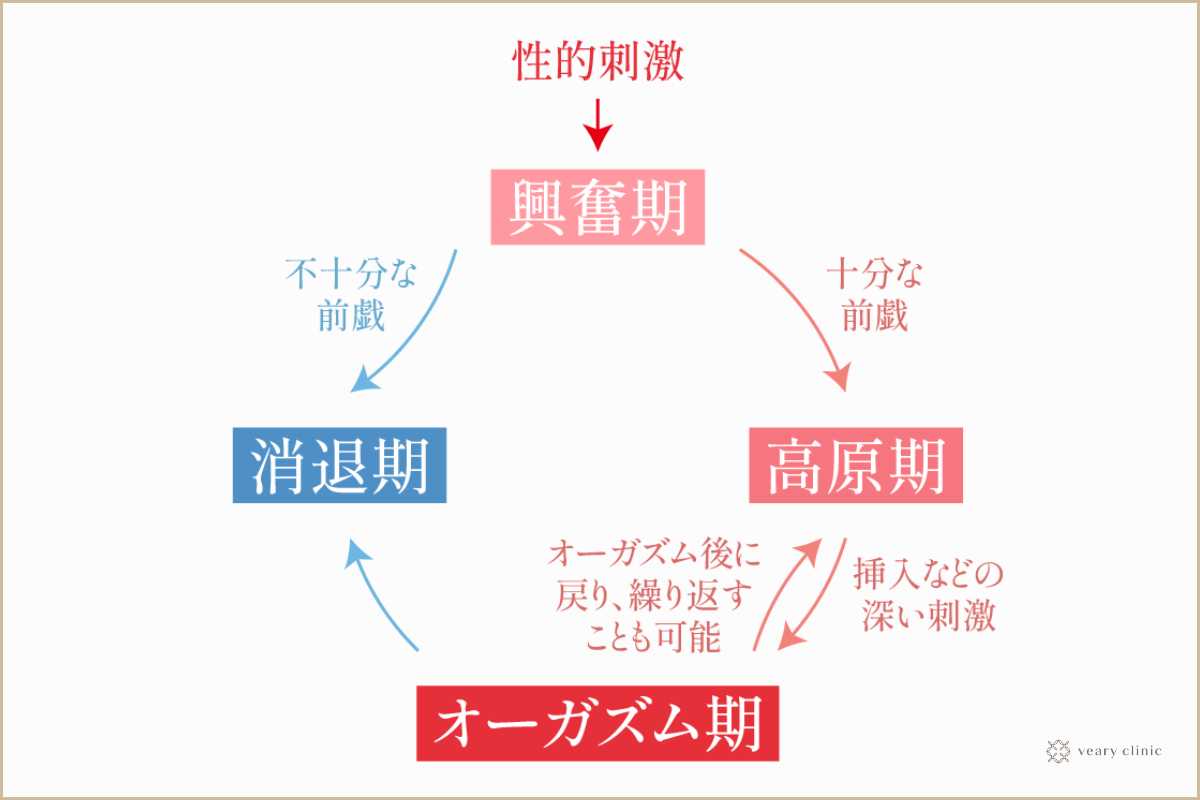 潮吹きとGスポットの密接な関係【やり方解説】女性必見！（画像つき） | 【30からの風俗アルバイト】ブログ