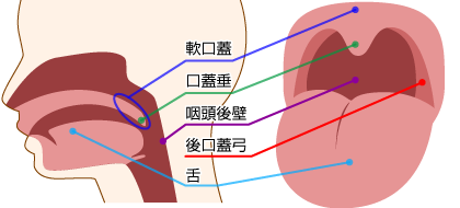 フェラチオの上手なやり方を徹底解説！気持ちいいテクニックとコツでイカせよう！ | はじ風ブログ