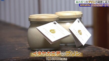 ららぽーとで1ヵ月1000万の売り上げを達成した大阪難波発のプリン専門店が東北初出店！盛岡市の桜の名所で「桜プリン」販売 | 