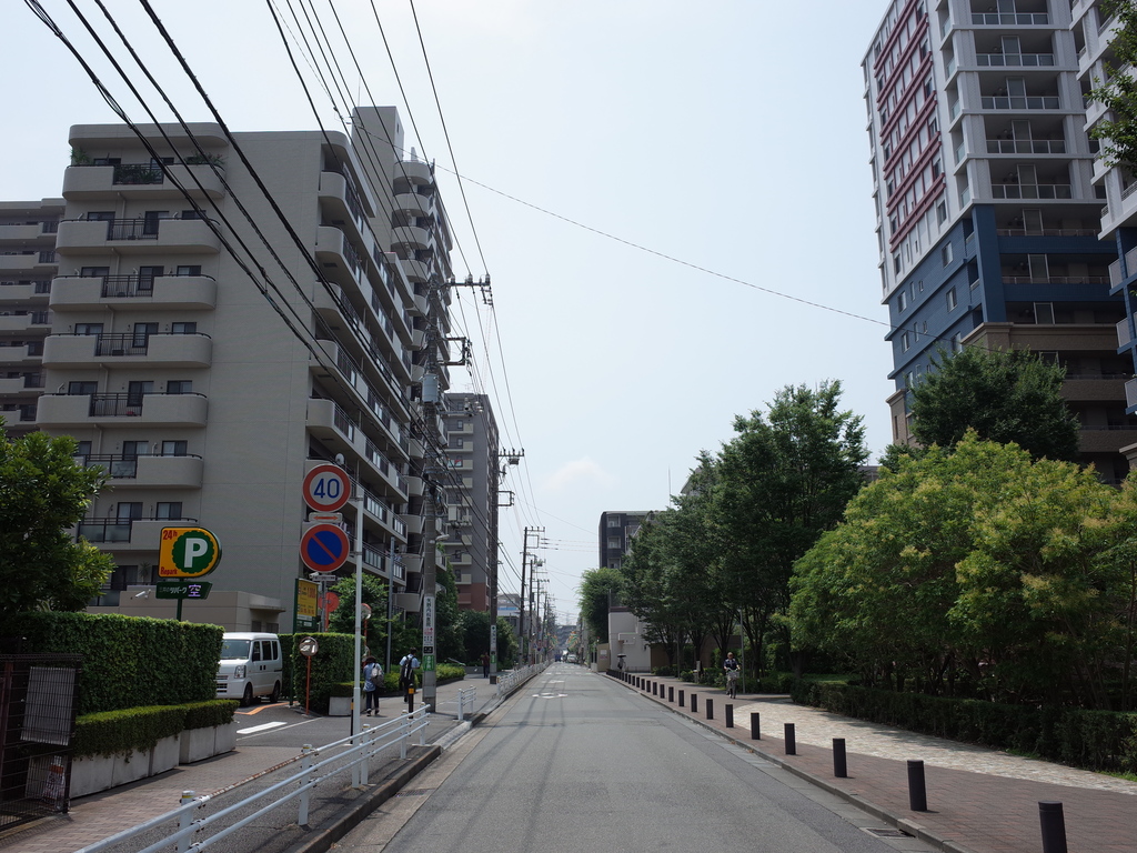 南武線矢向駅から川崎河岸駅までの貨物線跡の痕跡を求めて』川崎(神奈川県)の旅行記・ブログ by アルプ・グリュムさん【フォートラベル】