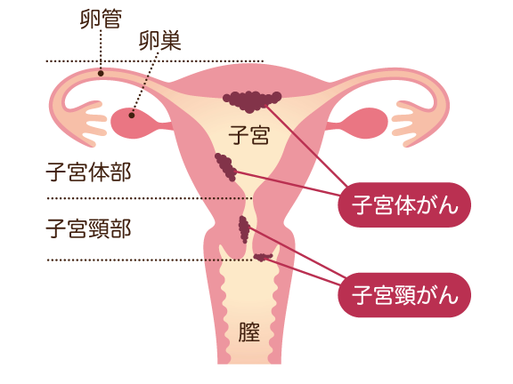 さかもるん すたじお じゃぱん