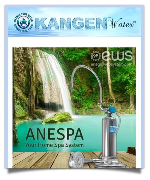 ANESPA-DX | Enagic Store