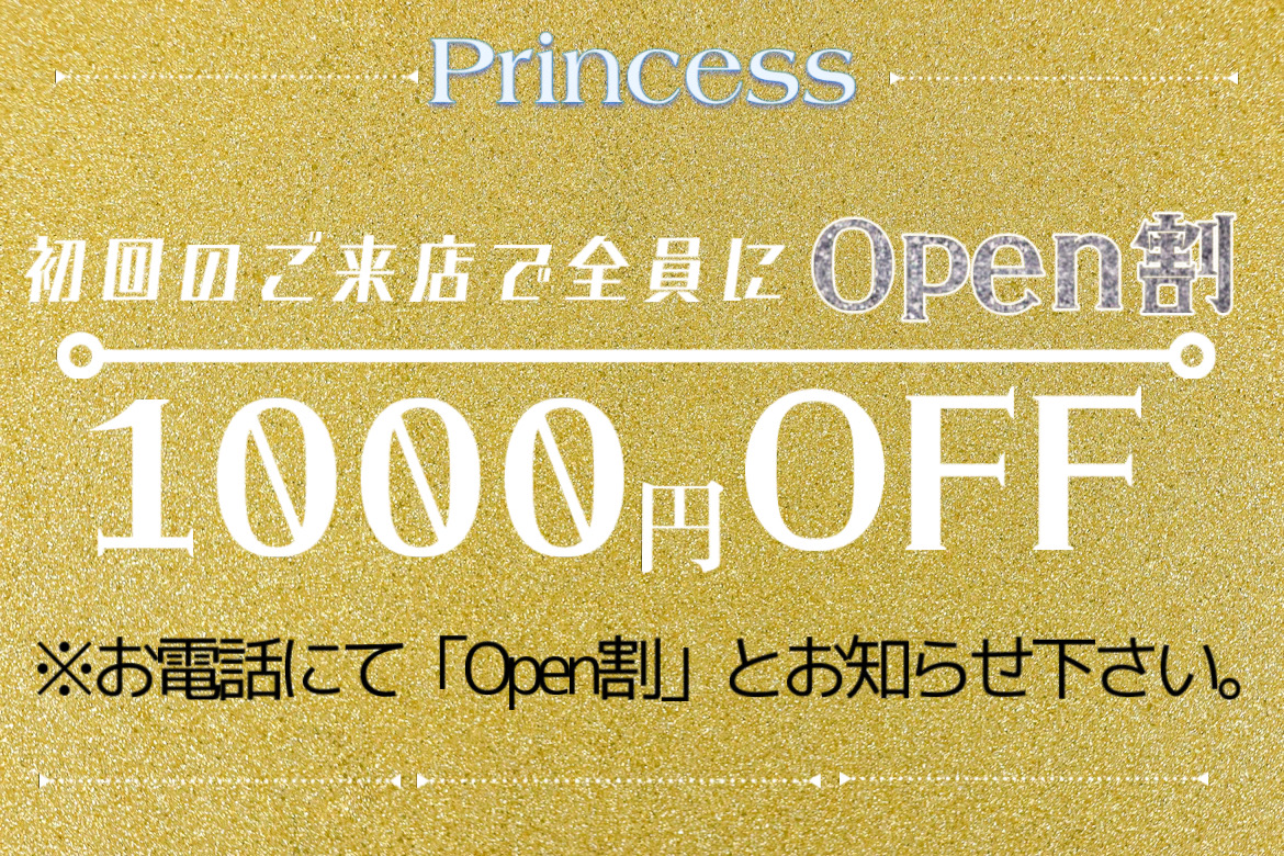 流山おおたかの森 メンズエステ『メンズエステPrincess』