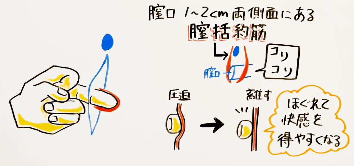 手マン・指マンテクニック技集18選【イラスト図解】 | セクテクサイト