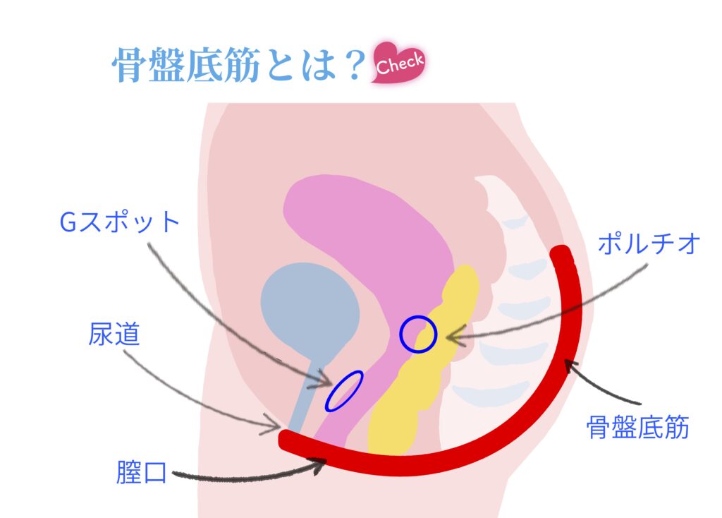 ポルチオ開発オナニーのやり方！子宮イキの注意点やおすすめグッズ | 【きもイク】気持ちよくイクカラダ