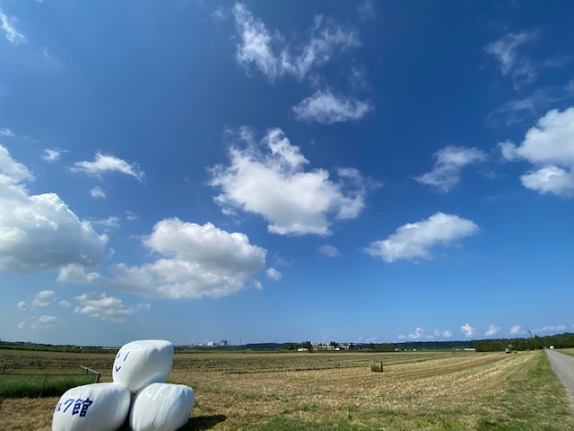 3000日かけて完成した極上ハンバーガー 本町靱公園店 -