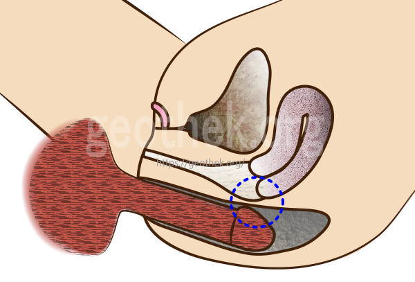 エロ体験談】セフレにアナルセックスをお願いされる - メンズサイゾー