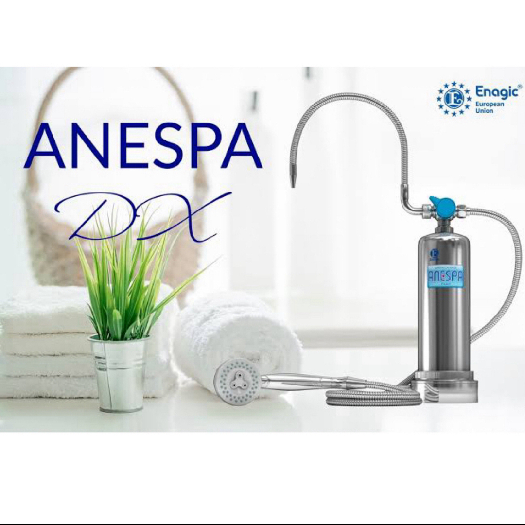 Enagic ANESPA-DX Mineral ion