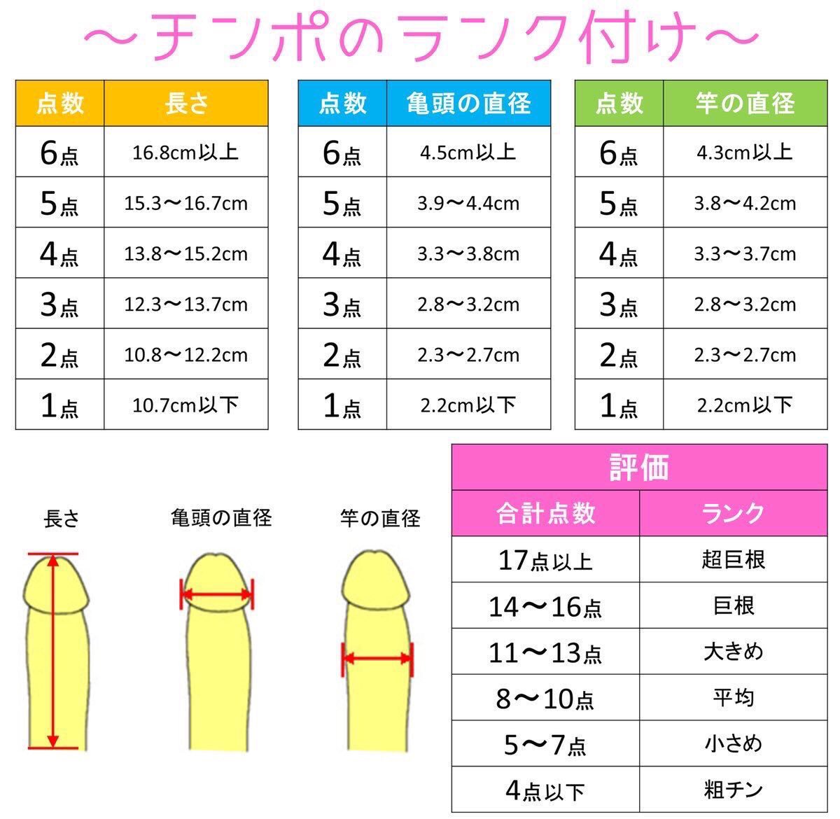 なんでちんこってちんこって言うの？」←調べてみた｜BLニュース ちるちる