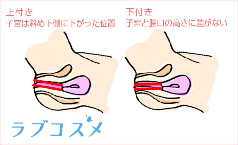 GIF画像あり】 Gスポットのみを責め続けた女はこうなるｗ | GIFヌキ.com