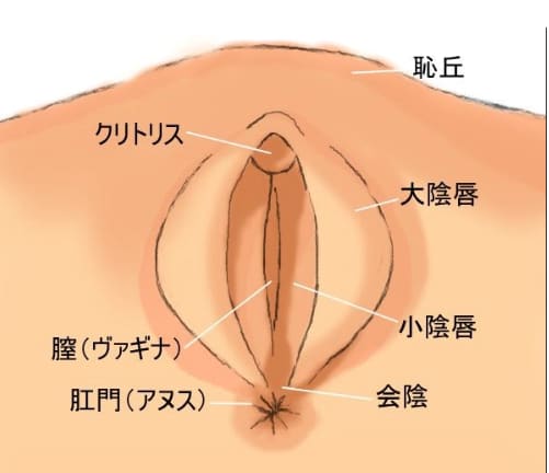 無許可で2穴責め！  可愛い女子大生が慣れないアナルとまんこで絶頂逝きまくりSEX♡RYO＆YUU♡素人カップル/美少女/10代/中出し/ニーハイ/ビキニ/  SM/English