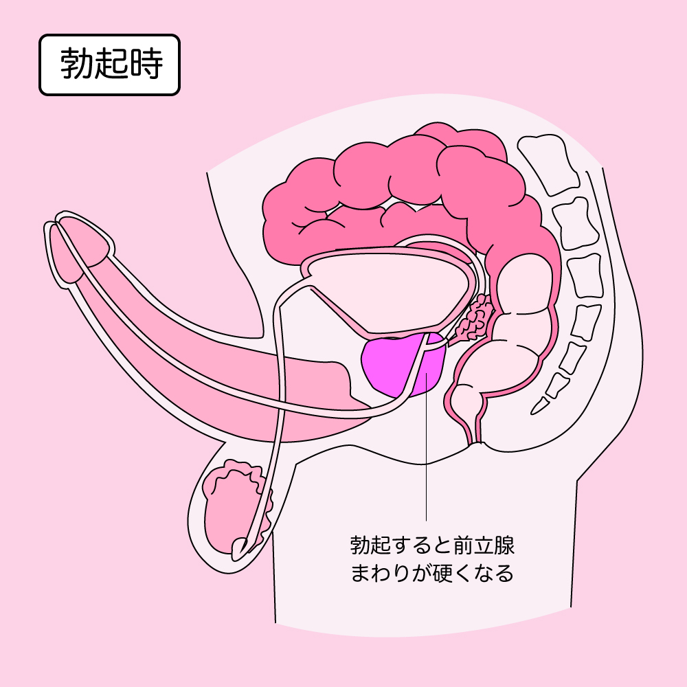 完全版】正しいアナルセックスのやり方とは？初心者向けに準備や注意点について解説！｜駅ちか！風俗雑記帳