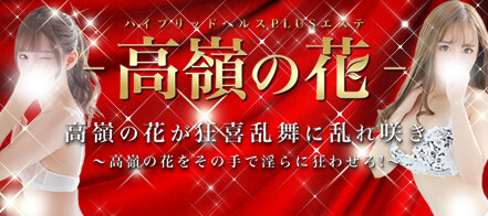 奥様鉄道69 埼玉店｜大宮風俗デリヘル格安料金｜格安風俗をお探し・比較ならよるバゴ（よるばご）