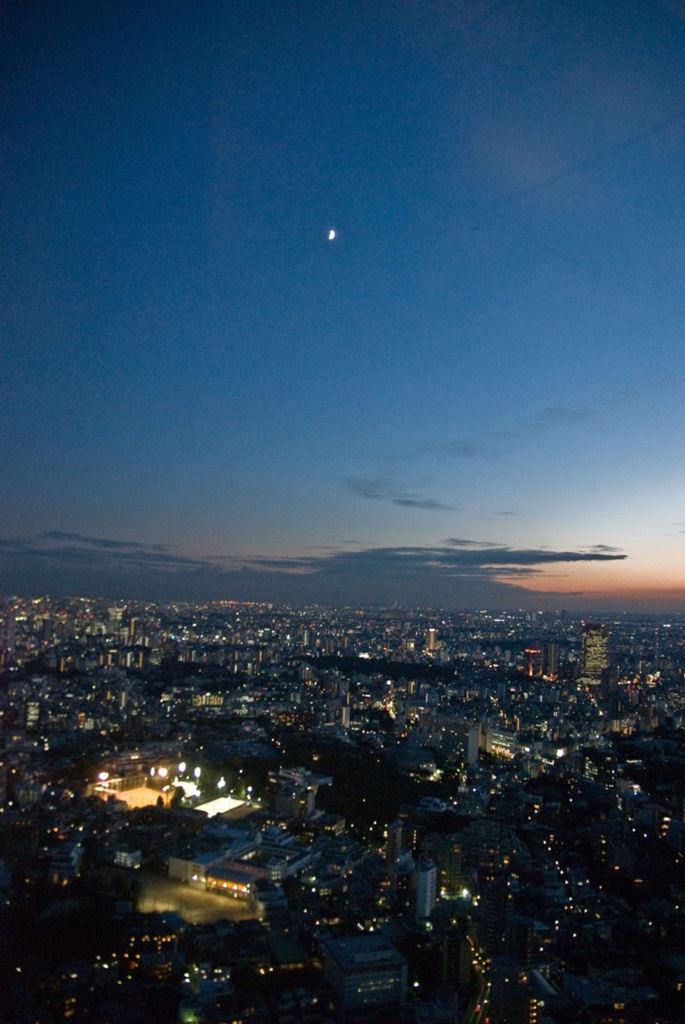 白夜行』感想 原作東野圭吾の酷く切ない恋愛サスペンス ※ネタバレあり