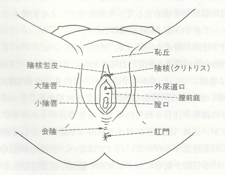 院長コラム] オーガズムを感じたことの無い方へのアドバイス |