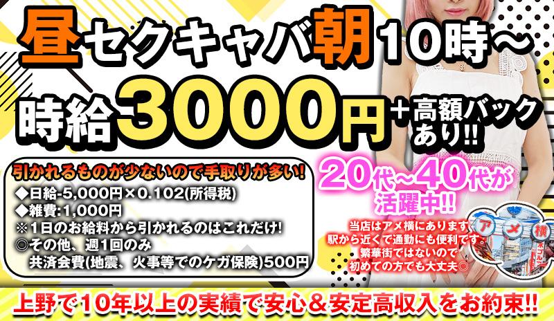 吉原・鶯谷・上野エリアのおっパブ・セクキャバ求人(高収入バイト)｜口コミ風俗情報局