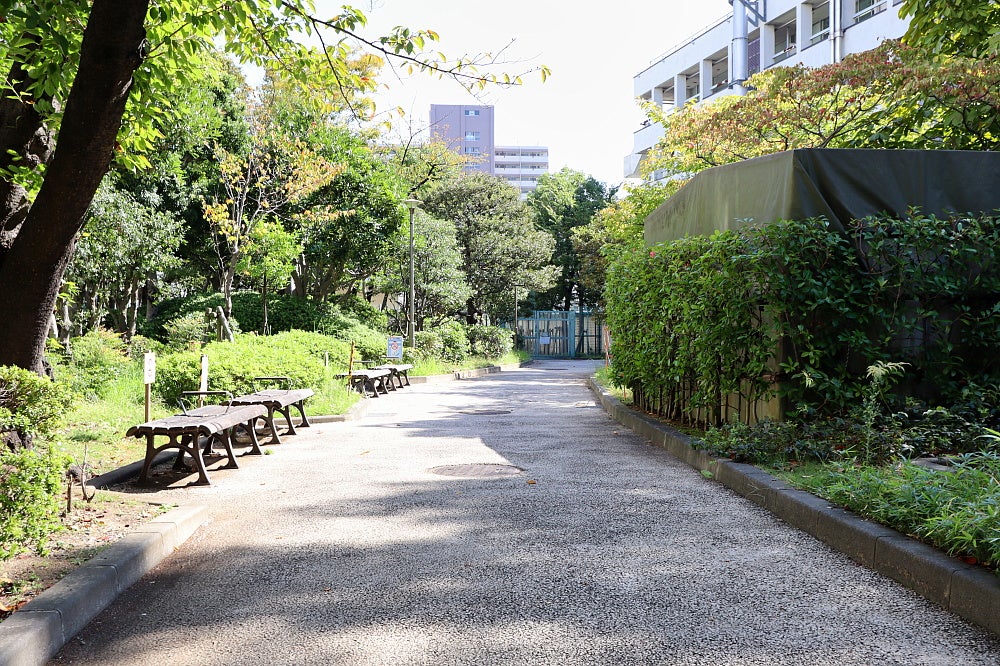 江東区役所の写真素材 - PIXTA