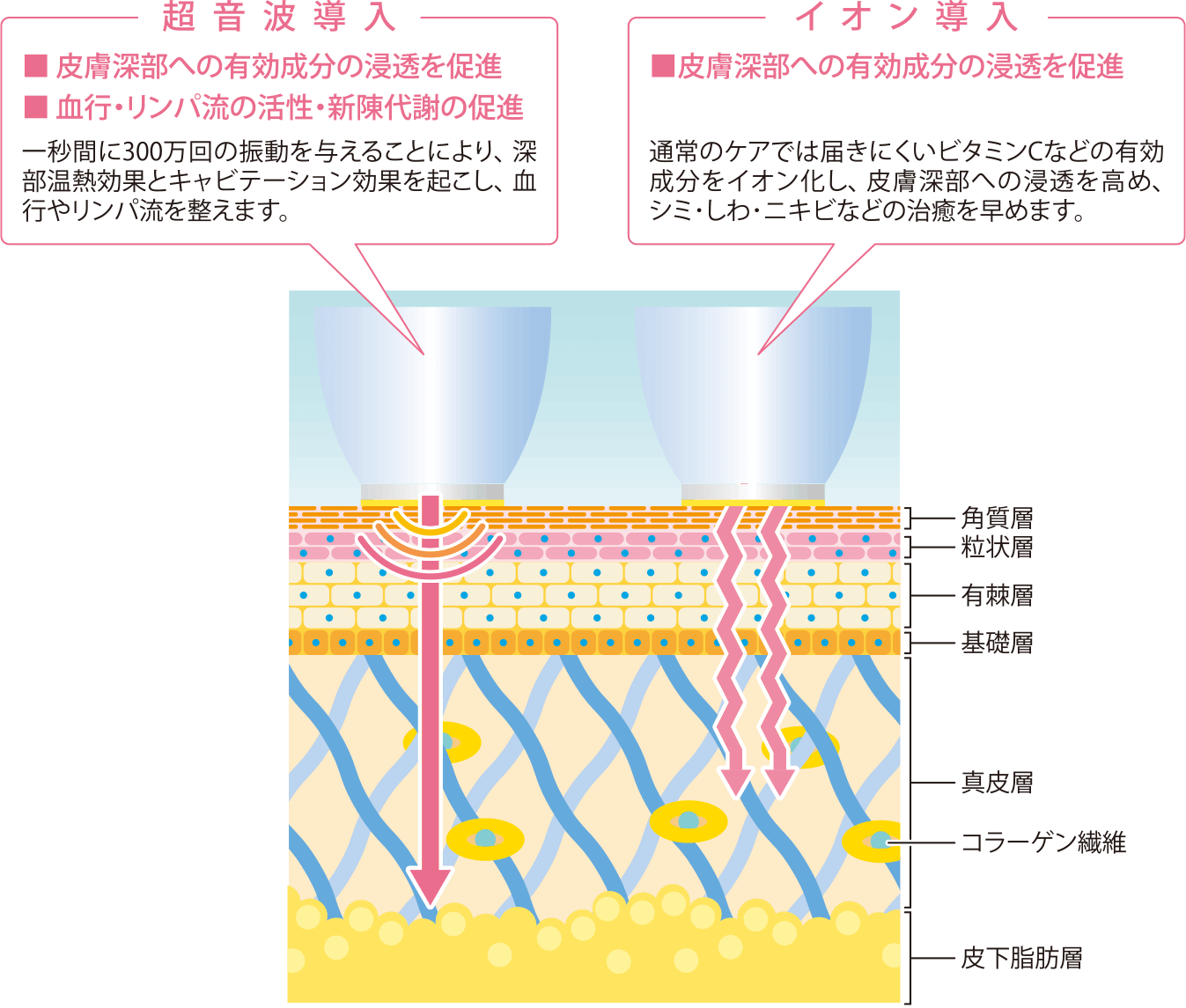 従業員との関わり | サスティナビリティ