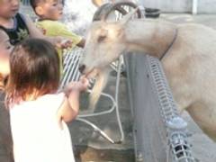 ららぽーと湘南平塚 | チームラボ 学ぶ！未来の遊園地