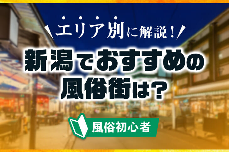 変態レポ】札幌のアダルトショップ3選！エロ店が勢揃い！ | happy-travel[ハッピートラベル]